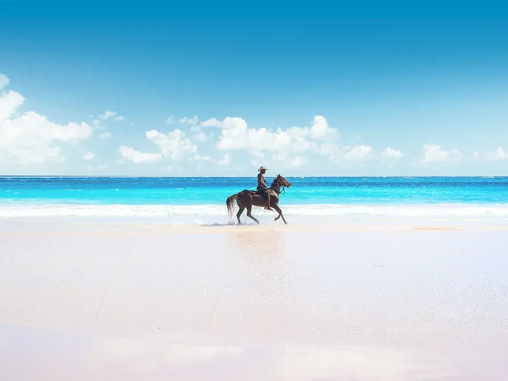 A rider on horseback crosses a pale pink-sand beach beside turquoise water.
