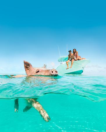 Chat 'N' Chill Beach Bar, Exumas