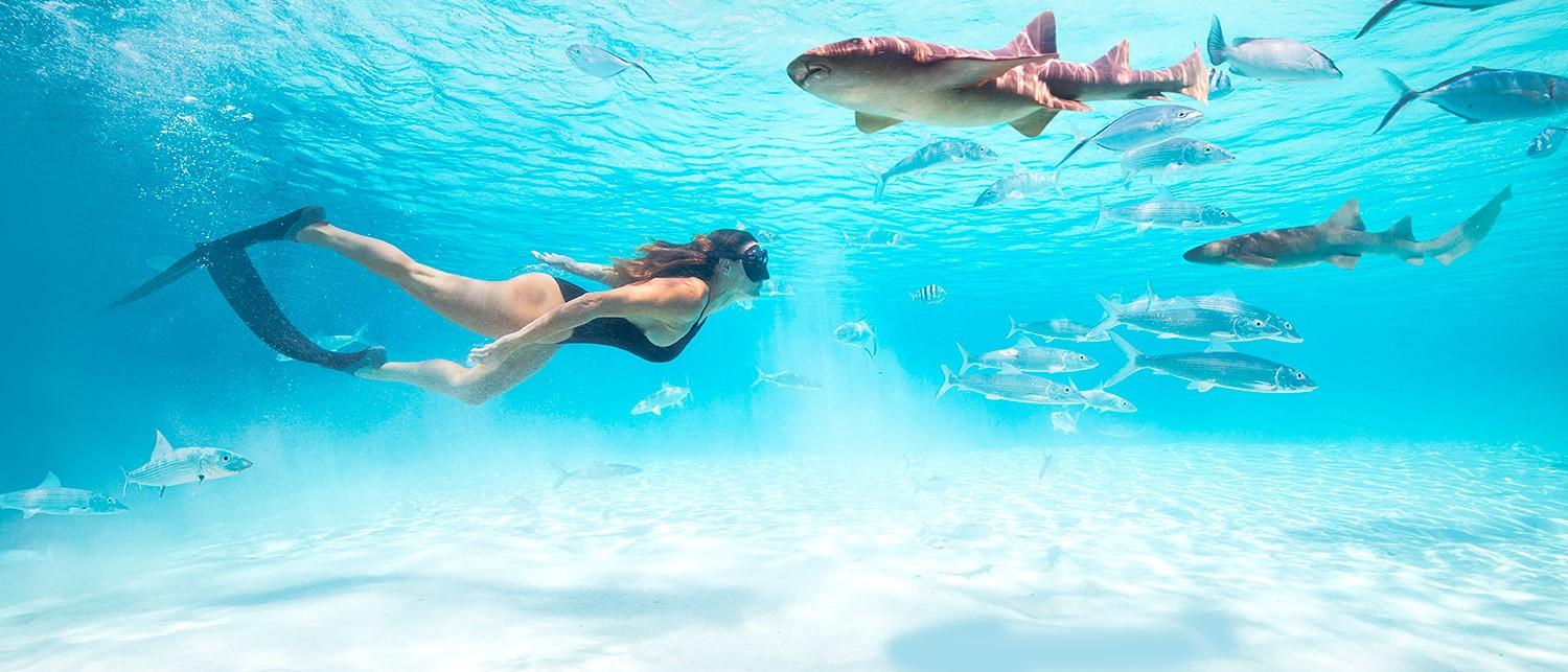 Exuma Cays Land & Sea Park
