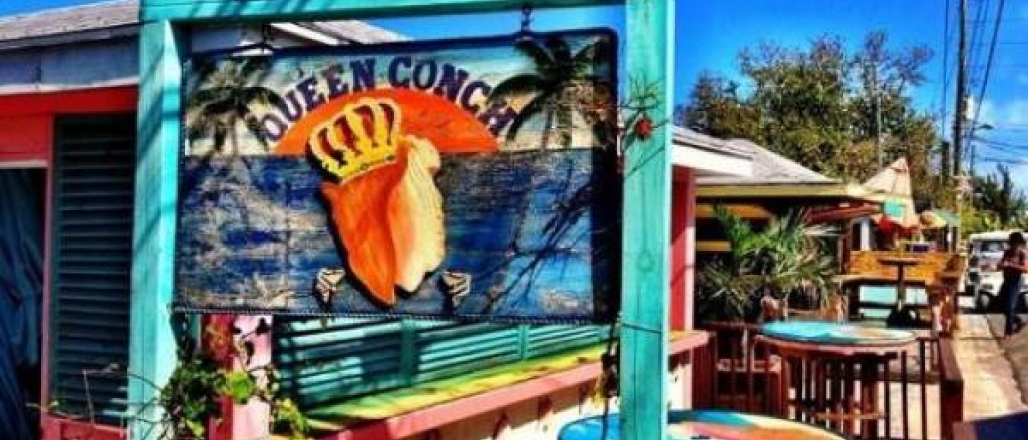 Queen Conch