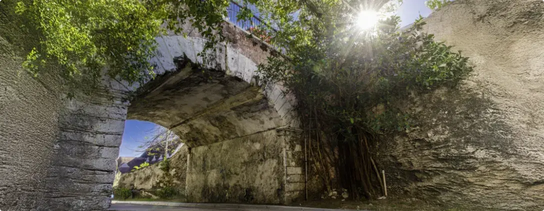 The stone span of Gregory's Arch over a Nassau street, shaded by trees.