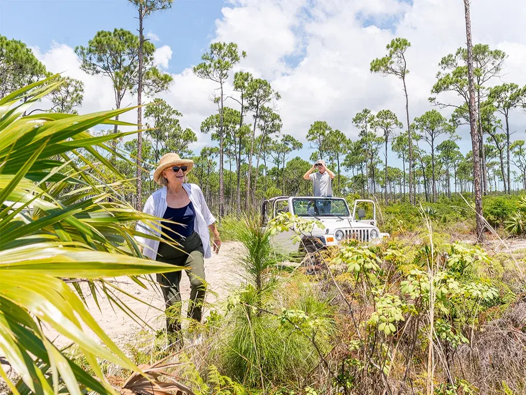 Travelers stand by an open jeep in pine scrub in the southern islands.