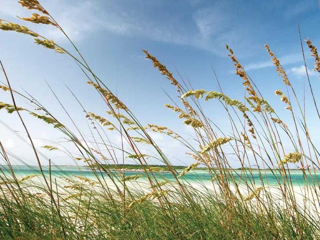 Sea oats frame a quiet turquoise beach on Mayaguana.