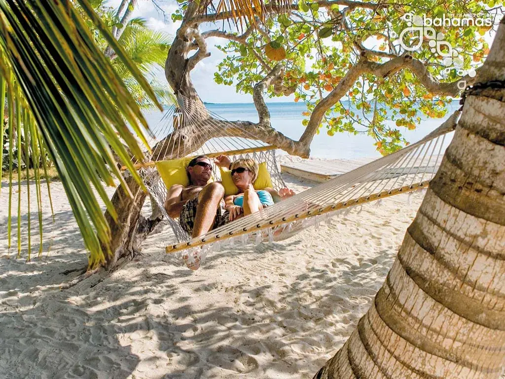 A couple relaxes in a hammock under a leaning palm beside a sandy beach.