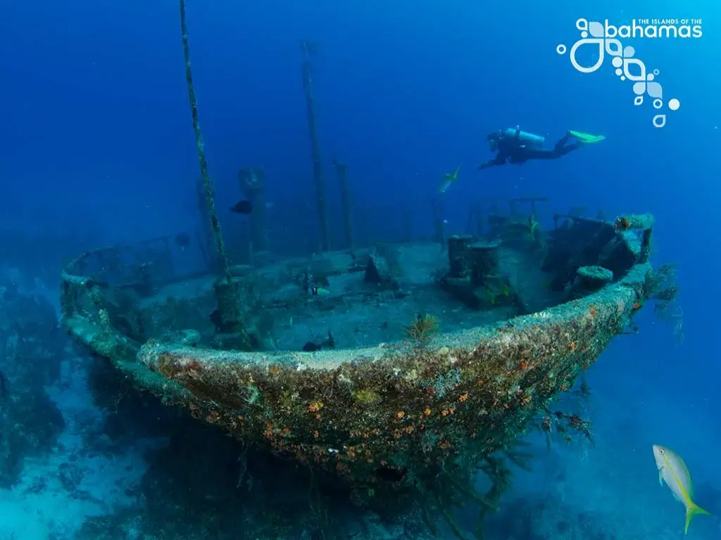 A scuba diver over a reef-encrusted shipwreck.