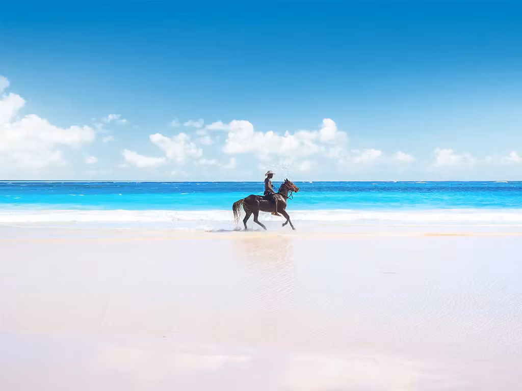 Eleuthera & Harbour Island
