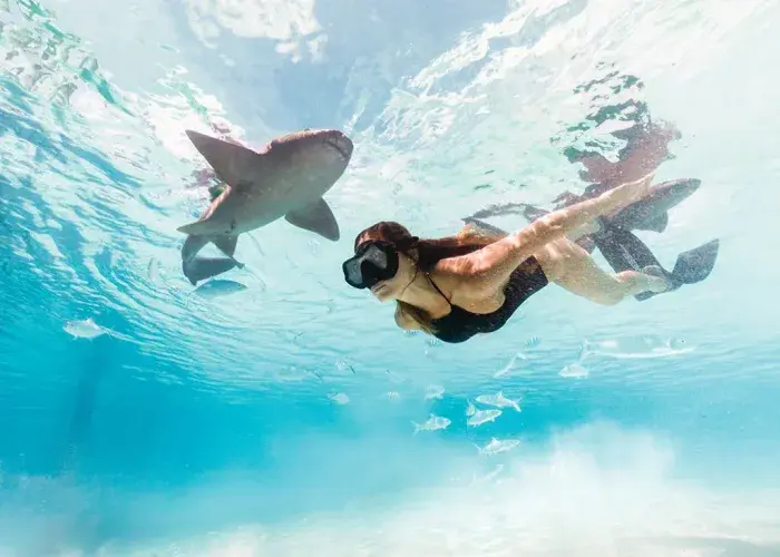 A snorkeler explores a rocky cove filled with tropical fish in Exuma