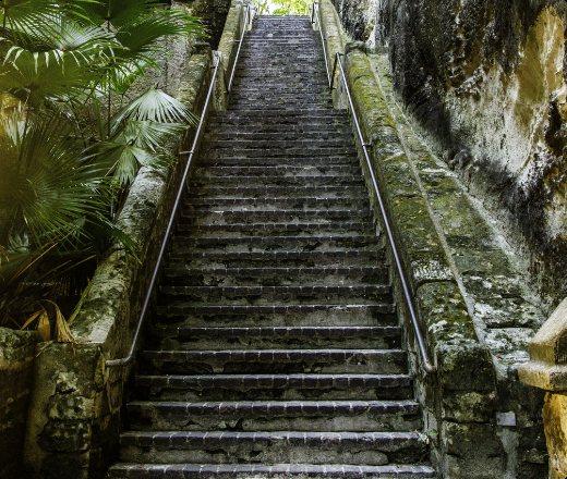 Stone steps of the Queen's Staircase cut through limestone, lined with ferns.