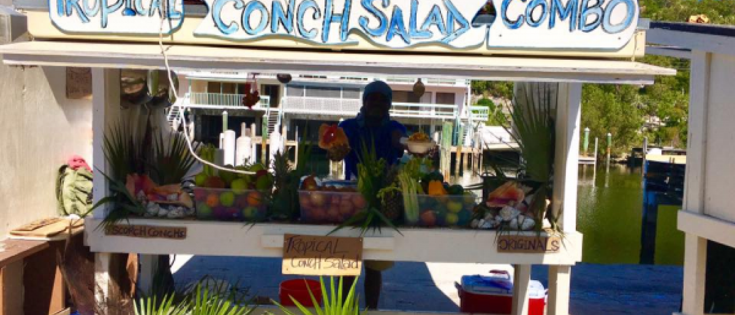 Mr. Tropical Conch Stand